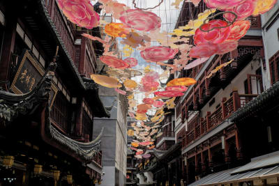 Cina 2026: Shanghai (9–11 giugno) 15
