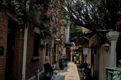Cina 2026: Shanghai (9–11 giugno) 31