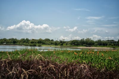 Cina 2026: Shenzhen (4 giugno) 9