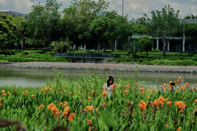 Cina 2026: Shenzhen (4 giugno) 10