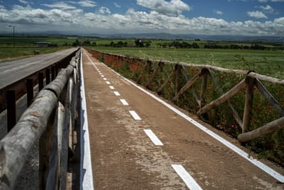 ALTA MURGIA PRIMAVERA 2026 7