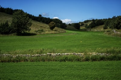 ALTA MURGIA PRIMAVERA 2026 10