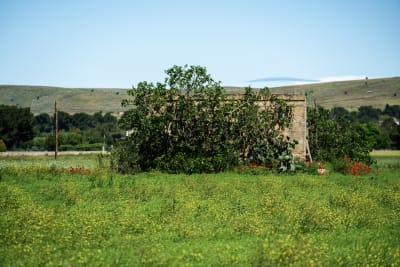 ALTA MURGIA PRIMAVERA 2026 11