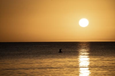 IL MARE SI SVEGLIA PRIMA DI NOI 6