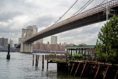NEW YORK 2025 14