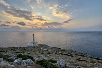 ALBA AL FARO 5