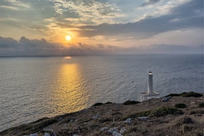 ALBA AL FARO 8
