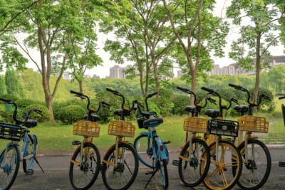VIAGGIO A SHANGAI 2024 46