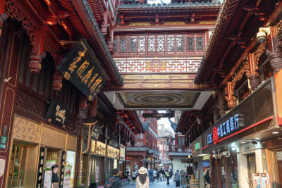 VIAGGIO A SHANGAI 2024 102