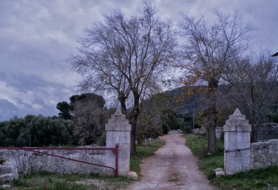 UNA VECCHIA MASSERIA PUGLIESE 1