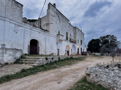UNA VECCHIA MASSERIA PUGLIESE 2