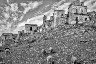 CRACO la città fantasma 37