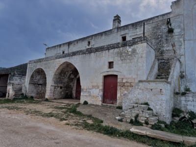 UNA VECCHIA MASSERIA PUGLIESE 4