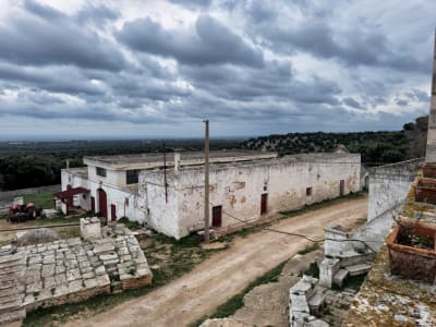 UNA VECCHIA MASSERIA PUGLIESE 5