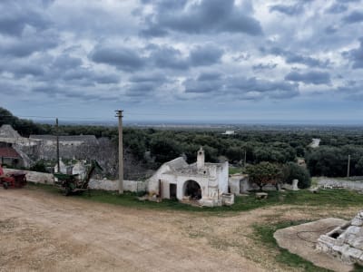 UNA VECCHIA MASSERIA PUGLIESE 7