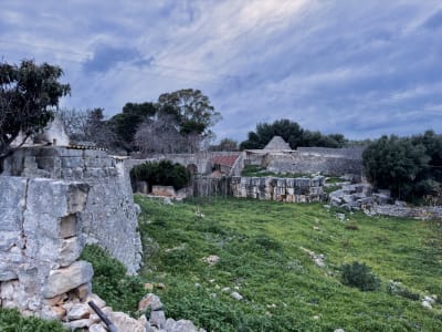 UNA VECCHIA MASSERIA PUGLIESE 13