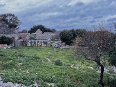 UNA VECCHIA MASSERIA PUGLIESE 14