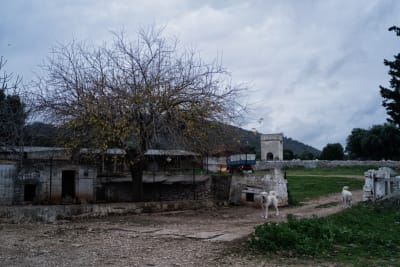 UNA VECCHIA MASSERIA PUGLIESE 15