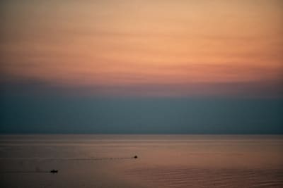 ALBA SICULA #1