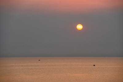 ALBA SICULA #6