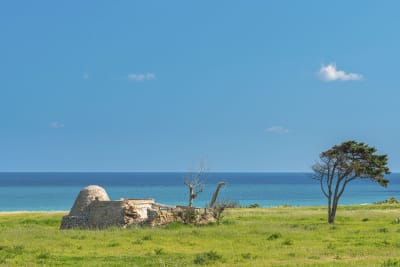 COSTA RIPAGNOLA
