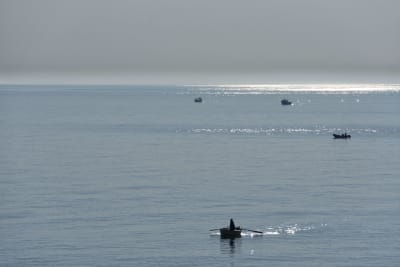 RIFLESSI