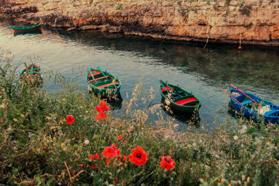 CALA PORT'ALGA -POLIGNANO A MARE#2
