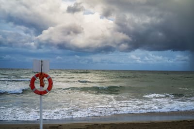 MARE MOSSO