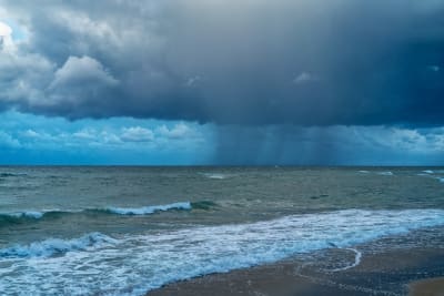 MARE MOSSO#1