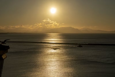 ALBA VIETRI