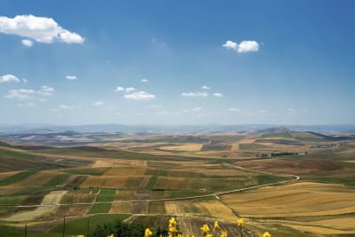ALTA MURGIA#1
