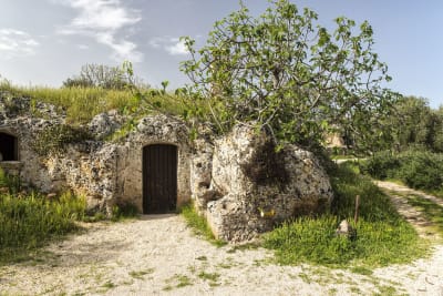 PAESAGGIO RUPESTRE