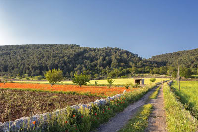 STRADA DI CAMPAGNA