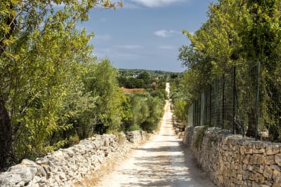 STRADA DI CAMPAGNA#1