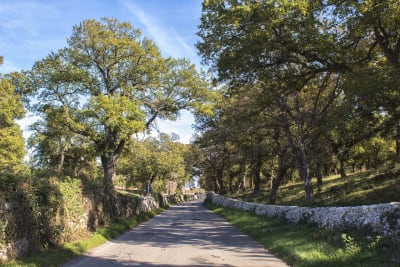 STRADA DI CAMPAGNA#2