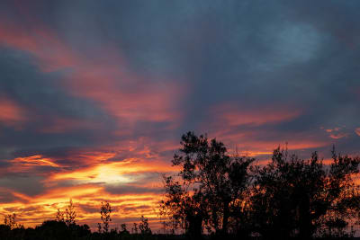 TRAMONTO IN COLLINA#1