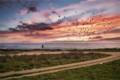 IL PESCATORE SOLITARIO