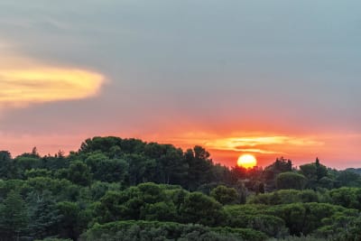 TRAMONTI SILVANI#10