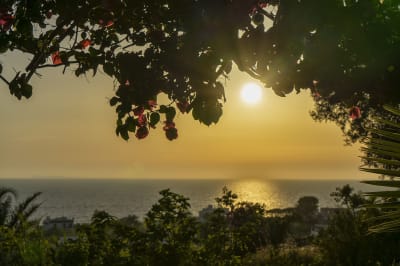 TRAMONTO ISCHITANO #7