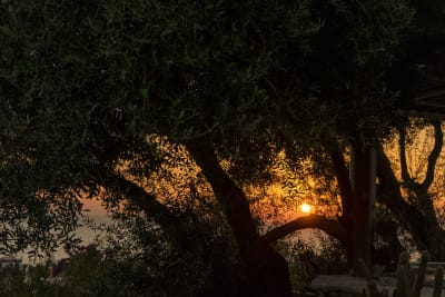 TRAMONTO ISCHITANO #8