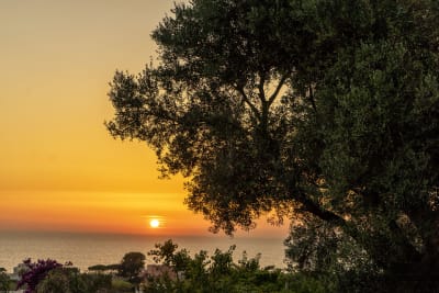 TRAMONTO CROATO #12