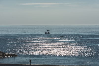 Mare,mare.... 1