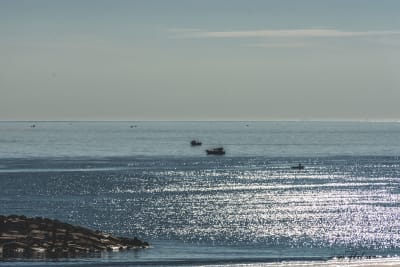 Mare,mare.... 2