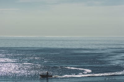 Mare,mare.... 3