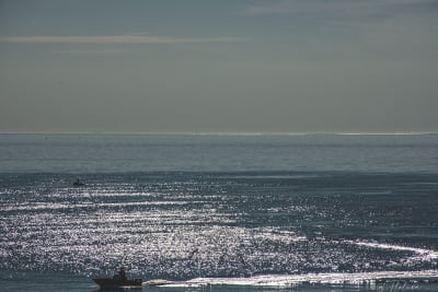 Mare,mare.... 4