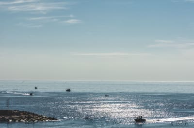 Mare,mare.... 5