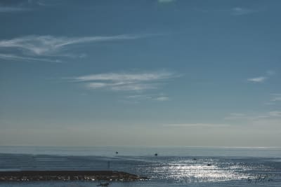 Mare,mare.... 6