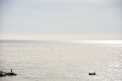 mare,mare,mare... 7