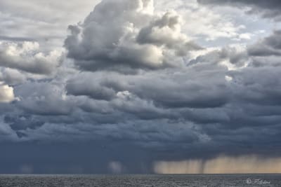 Se diventassi cieco, quello che mi dispiacerebbe di più sarebbe di non poter più guardare fino all’idiozia la sfilata delle nuvole.
-- EM Cioran