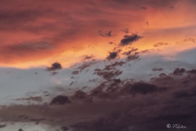C’è sempre qualcosa di insolito nell’aria quando sono insieme. Non la puoi chiamare quiete e non la puoi chiamare tempesta. Sa di mandarini e di mandorle tostate e di mare e di biscotti appena sfornati e di primavera. Quasi fossero avvolti in una nuvola. Alcuni pensano che sia turchese, quella nuvola, ma altri no, altri dicono arancione.
(Nataša Dragnic)